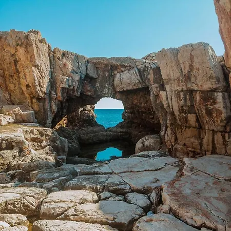 Nave Apartament